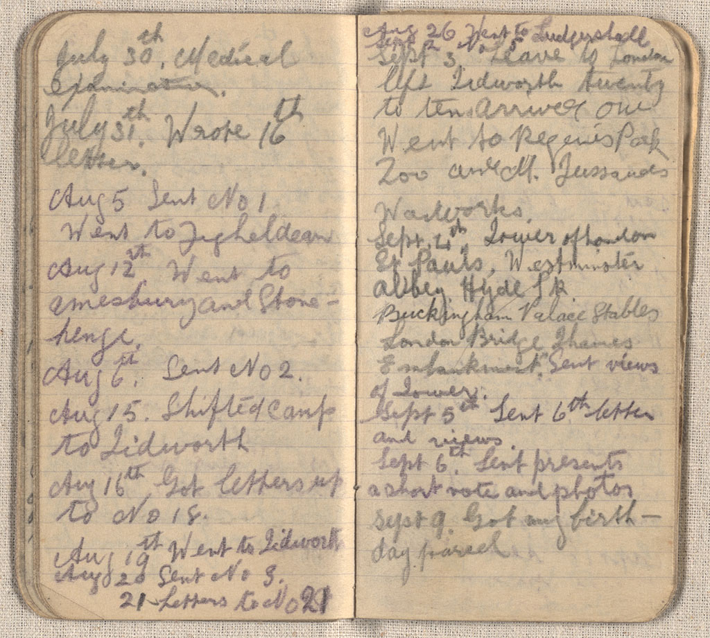 Image of Diary 1917