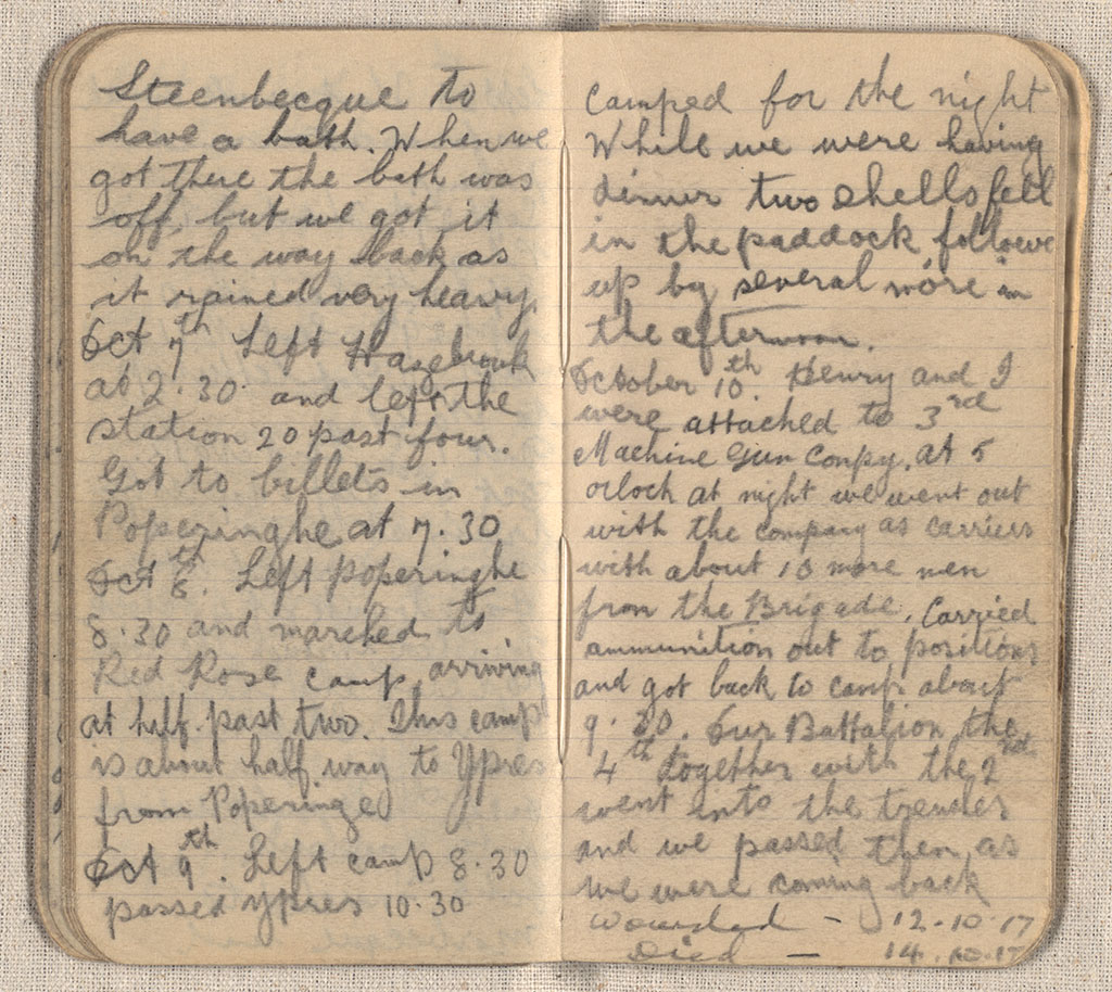 Image of Diary 1917