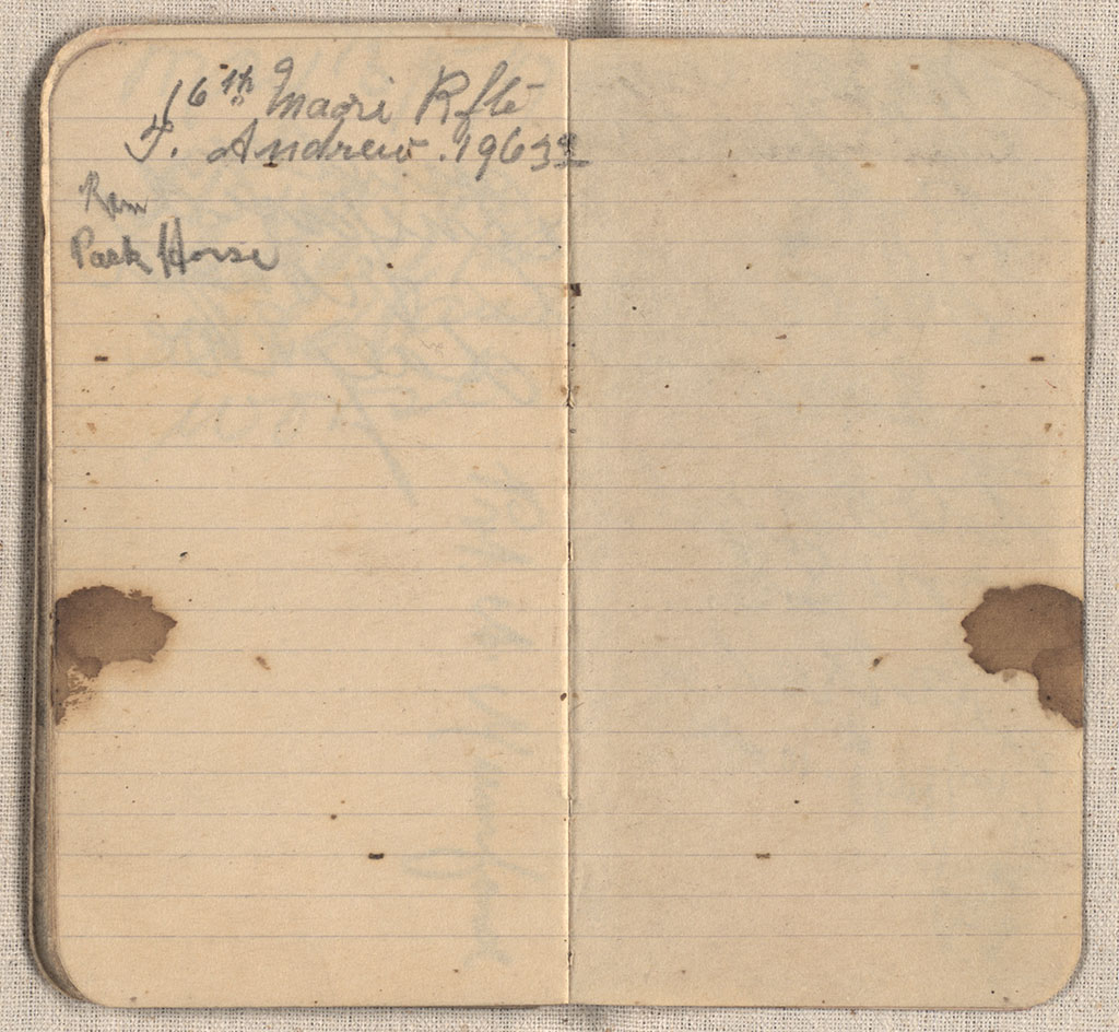Image of Diary 1917