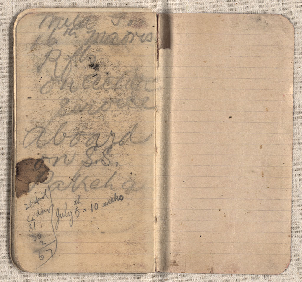 Image of Diary 1917