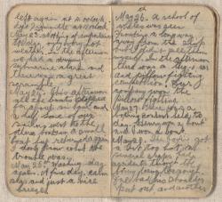 Thumbnail Image of Diary