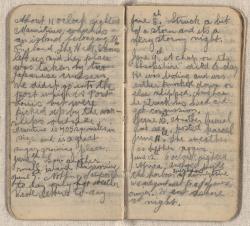 Thumbnail Image of Diary