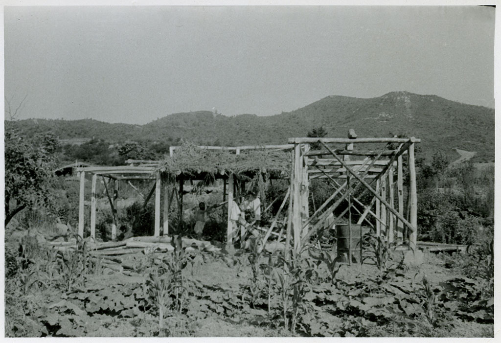 Image of House construction, No. 2 1951-1952.