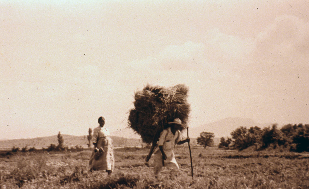 Image of A heavy load 1951-1952.