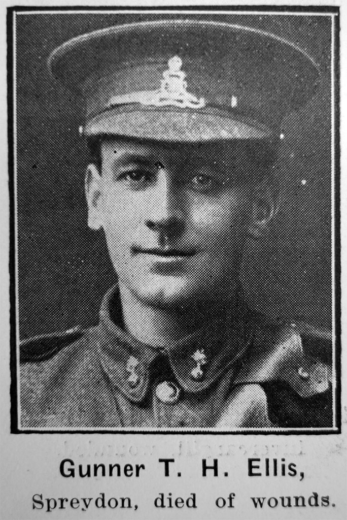 Image of Thomas Henry Ellis 11/10/1916